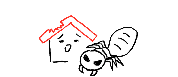 シロアリ防除　イラスト